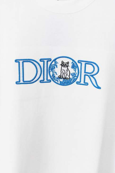 Dior T Shirts Short _SKUDiorM-2XLjhtxY04916380